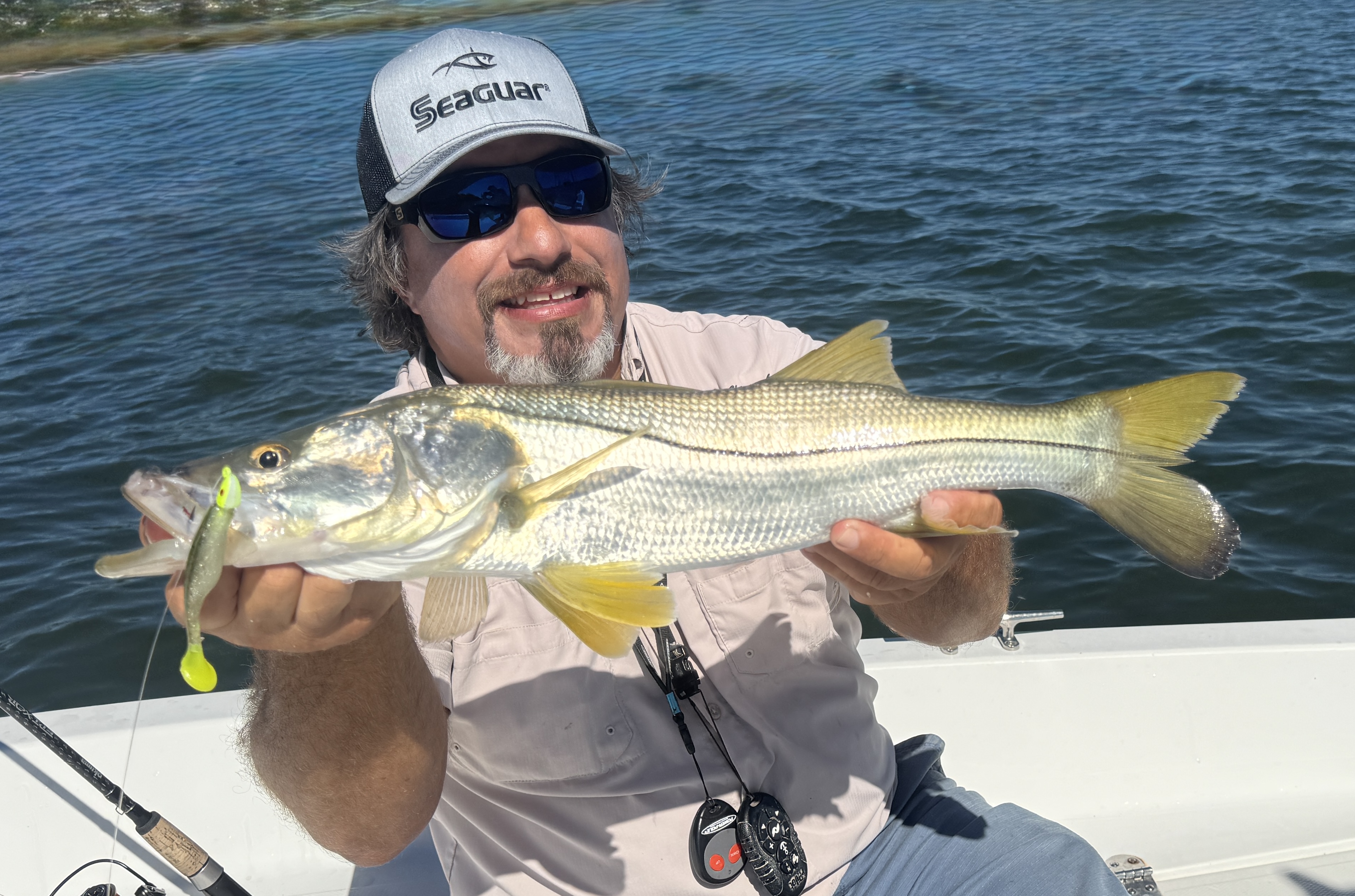 Panfish Assassin Lures Bass Assassin Lures, Inc. Panfish Assassin Lures Bass Assassin Lures, Inc.